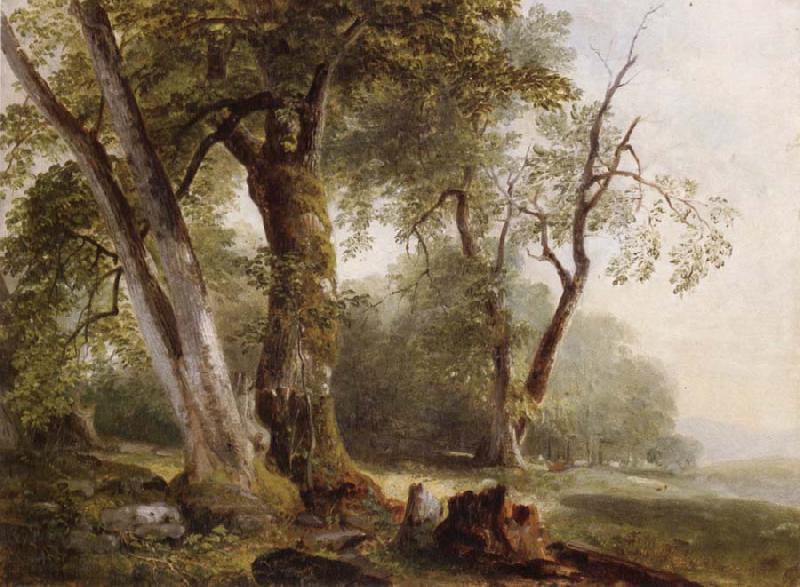 Asher Brown Durand Landscape with Beech Tree Sweden oil painting art